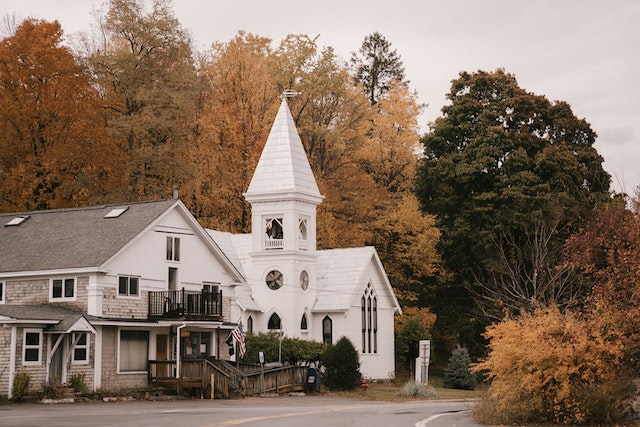 white cottage surrounded by trees